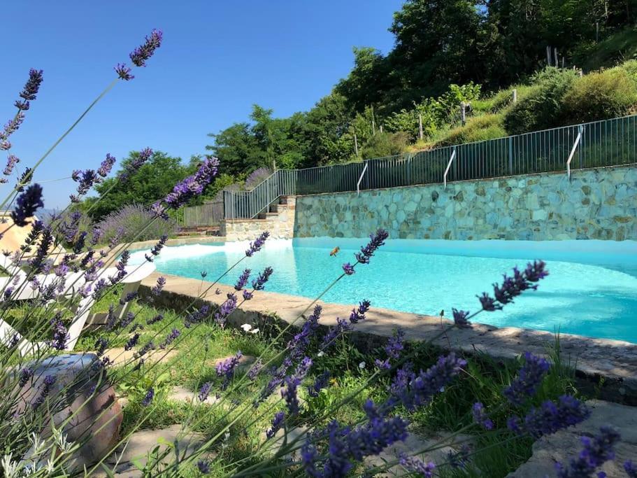 Podere Beatrice 20 Pax By Villasretreats Bardine di San Terenzo エクステリア 写真